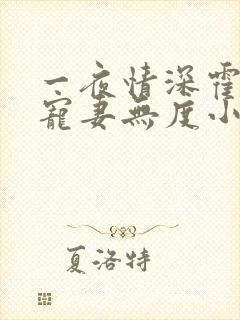 一夜情深霍先生宠妻无度小说免费阅读