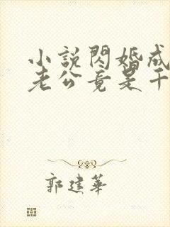 小说闪婚成宠,老公竟是千亿大佬