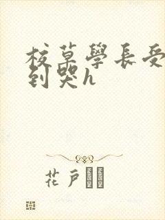 校草学长受被做到哭h封面
