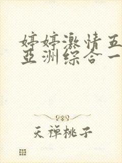 婷婷激情五月天亚洲综合一区