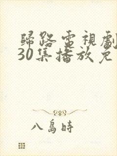 归路电视剧全集30集播放免费观看封面