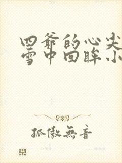 四爷的心尖宠妃雪中回眸小说的免费阅读封面