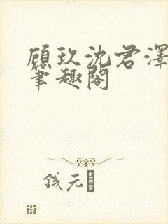 顾玖沈君泽小说笔趣阁