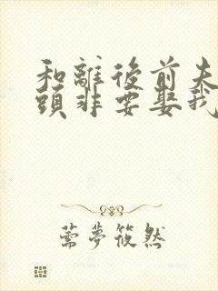 和离后前夫死对头非要娶我结局