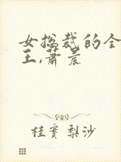 女总裁的全能兵王,萧晨