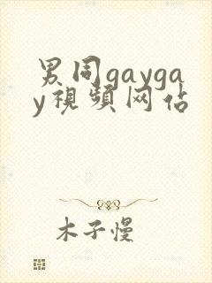 男同gaygay视频网站