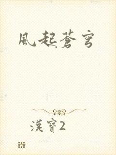 风起苍穹封面
