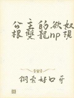 公主的欲奴h四根双龙np视频