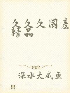 久久久国产综合精品