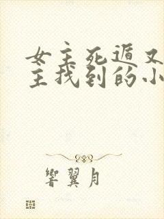 女主死遁又被男主找到的小说