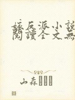 嫁反派小说免费阅读全文无弹窗