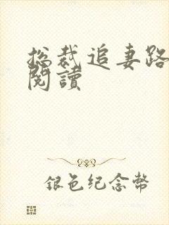 总裁追妻路漫漫阅读