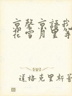 京声京语我在风花雪月里等你封面