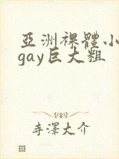 亚洲裸体小鲜肉gay巨大粗