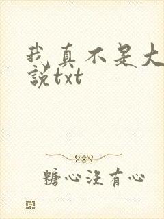 我真不是大佬小说txt
