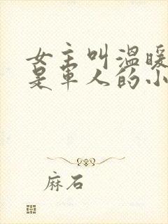 女主叫温暖男主是军人的小说