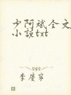 少阿斌全文阅读小说txt