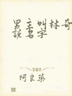 男主叫林奇的小说名字