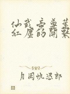 仙武帝尊叶辰和红尘的关系封面