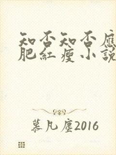 知否知否应是绿肥红瘦小说原著叫什么