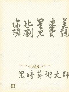 你比星光美丽电视剧免费观看西瓜