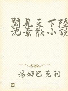 阅见天下陆沉舟沈意欢小说