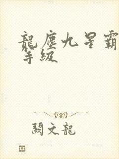 龙尘九星霸体诀等级