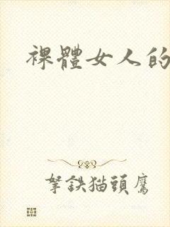 裸体女人的身体