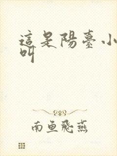 这是阳台小点声叫封面