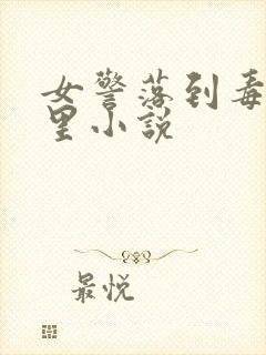 女警落到毒枭手里小说