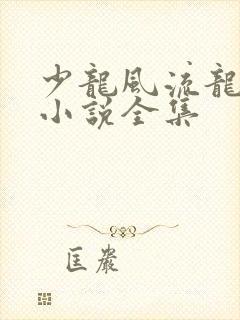 少龙风流龙剑飞小说全集
