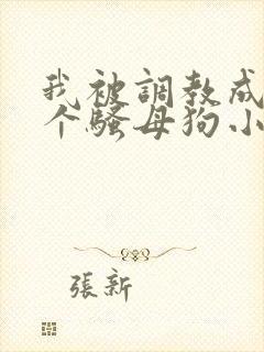 我被调教成了一个骚母狗小说