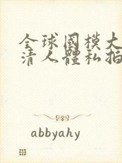 全球国模大胆高清人体私拍