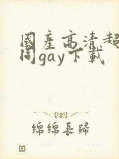 国产高清超帅男同gay下载