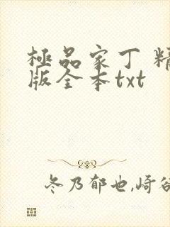 极品家丁 精校版全本txt