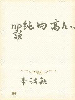 np纯肉高h小说封面