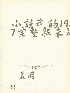 小说我的1987完整版未删减小说封面
