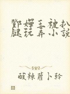邓婵玉被扒开双腿玩弄小说封面