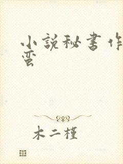 小说秘书作者阿蛮