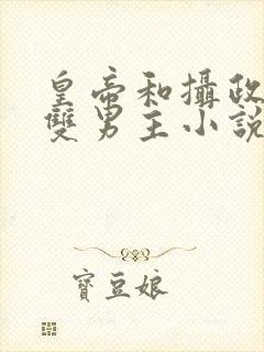 皇帝和摄政王的双男主小说封面