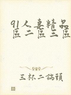 91人妻精品一区二区三区久久封面