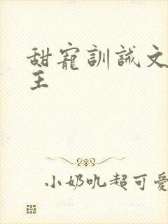 甜宠训诫文双男主
