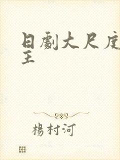 日剧大尺度双女主封面