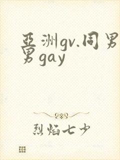 亚洲gv.同男男gay
