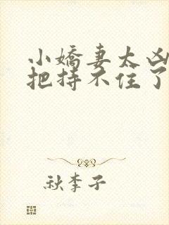 小娇妻太凶陆爷把持不住了短剧全集免费封面