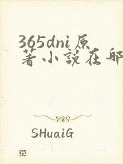 365dni原著小说在哪里看封面