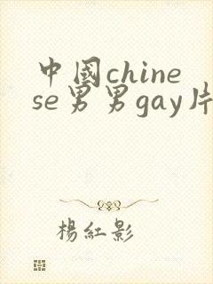 中国chinese男男gay片