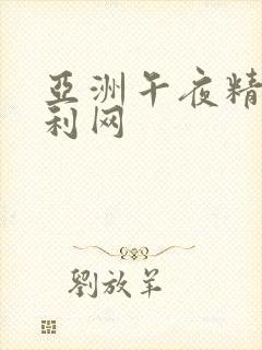 亚洲午夜精品福利网