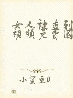 女人被爽到高潮视频免费国产