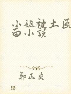 小姐被土匪毁清白小说